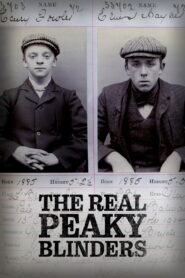 Peaky Blinders (Season 4) (S04 Ep04 Added) Dual Audio [Hindi (DD2.0) & English] 480p | 720p | 1080p – WEB-DL