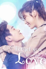 Forget You Remember Love (Season 1) 2020 Dual Audio (Hindi (ORG) – Chinese) 480p | 720p | 1080p WEBRip
